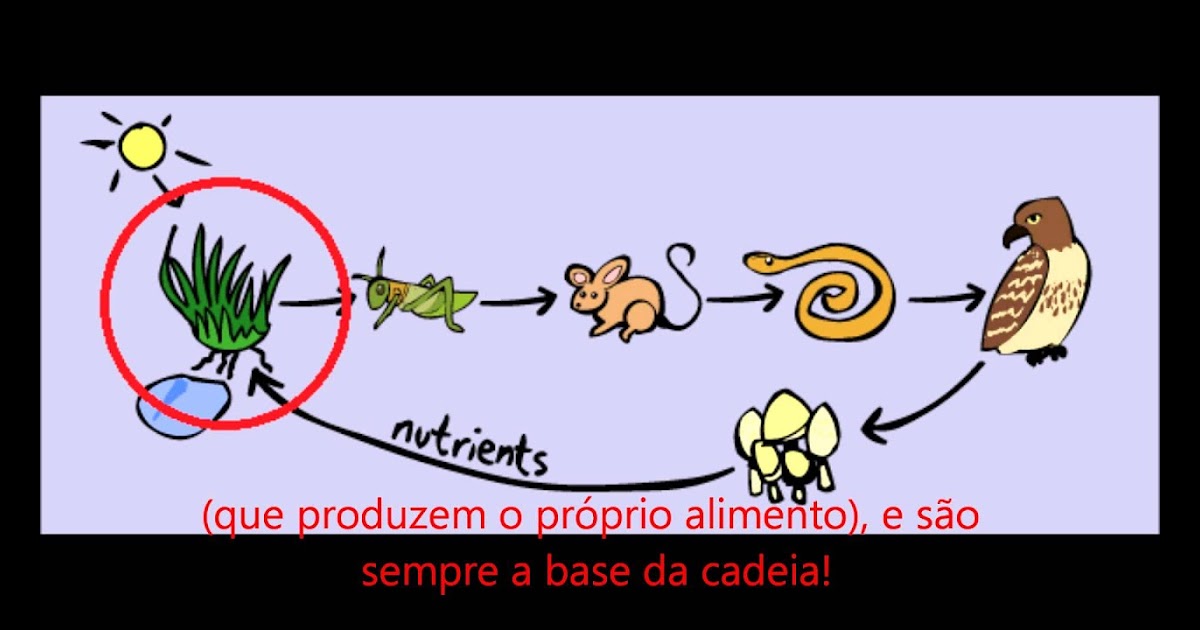 [Mais selecionado] Desenho De Uma Cadeia Alimentar