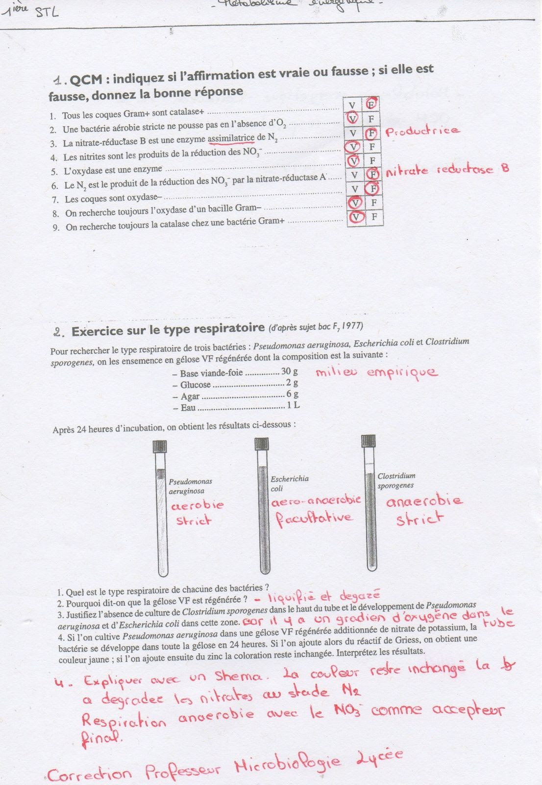 Image de Coeur Qcm Sur Le Coeur Pdf