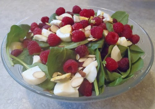 FitProud my journey to health, fitness & balance Cinch Diet 5 Day