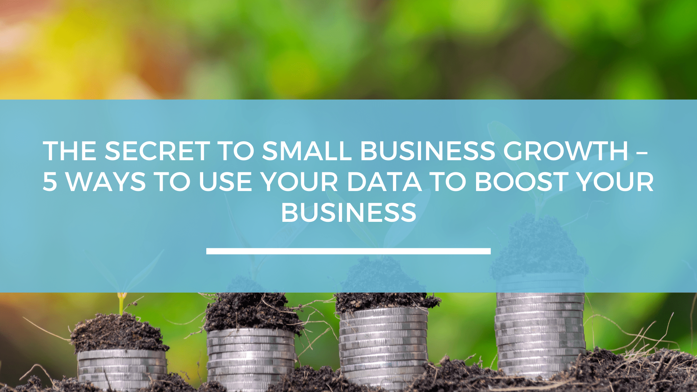 The secret to small business growth 5 ways to use your data to boost