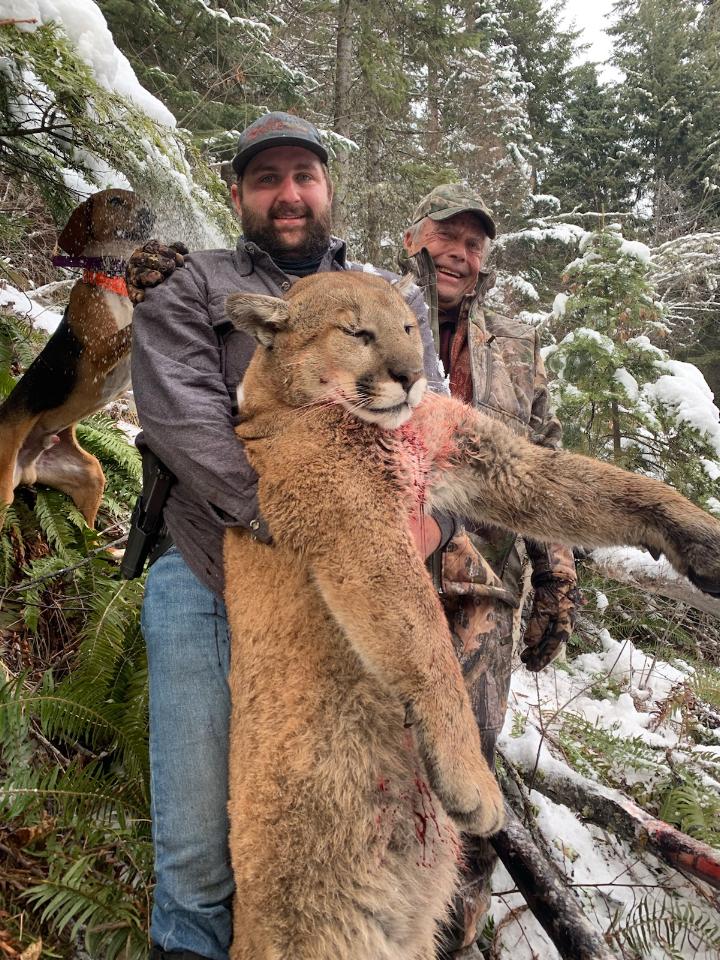 Another Successful Idaho Mountain Lion Hunt Comes To A Close
