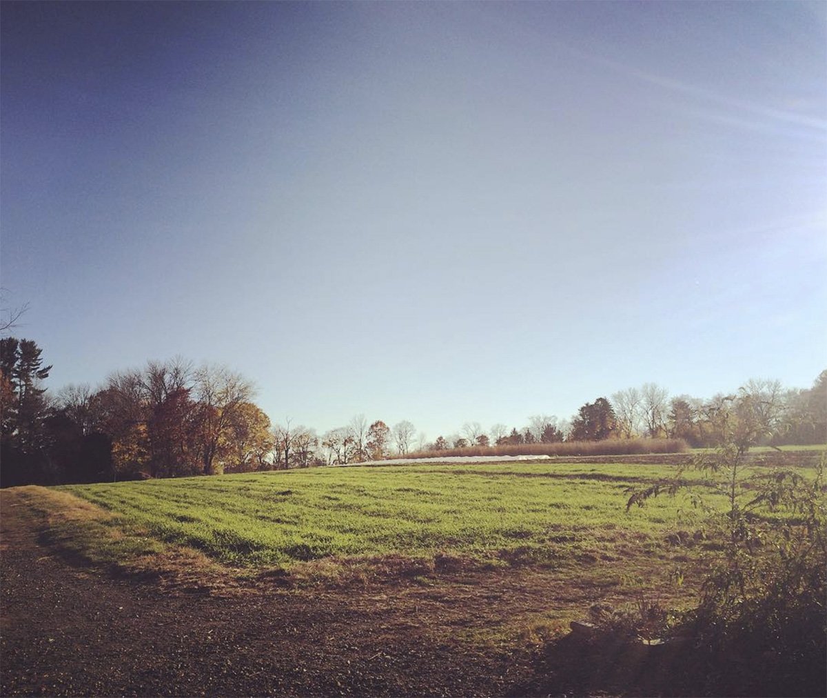 Shop Local Along the LHT King’s Highway and Maidenhead Meadows Lawrence Hopewell Trail