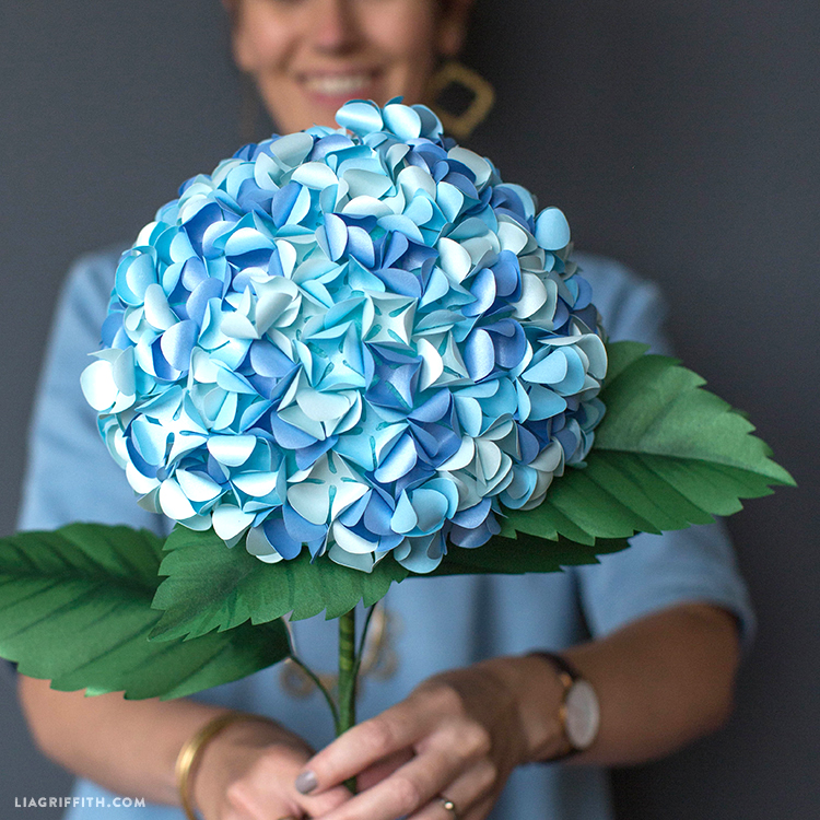 Jumbo Frosted Paper Hydrangeas Lia Griffith