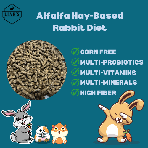 Alfalfa HayBased Rabbit Diet