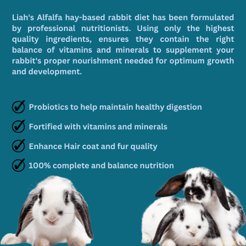 Alfalfa HayBased Rabbit Diet