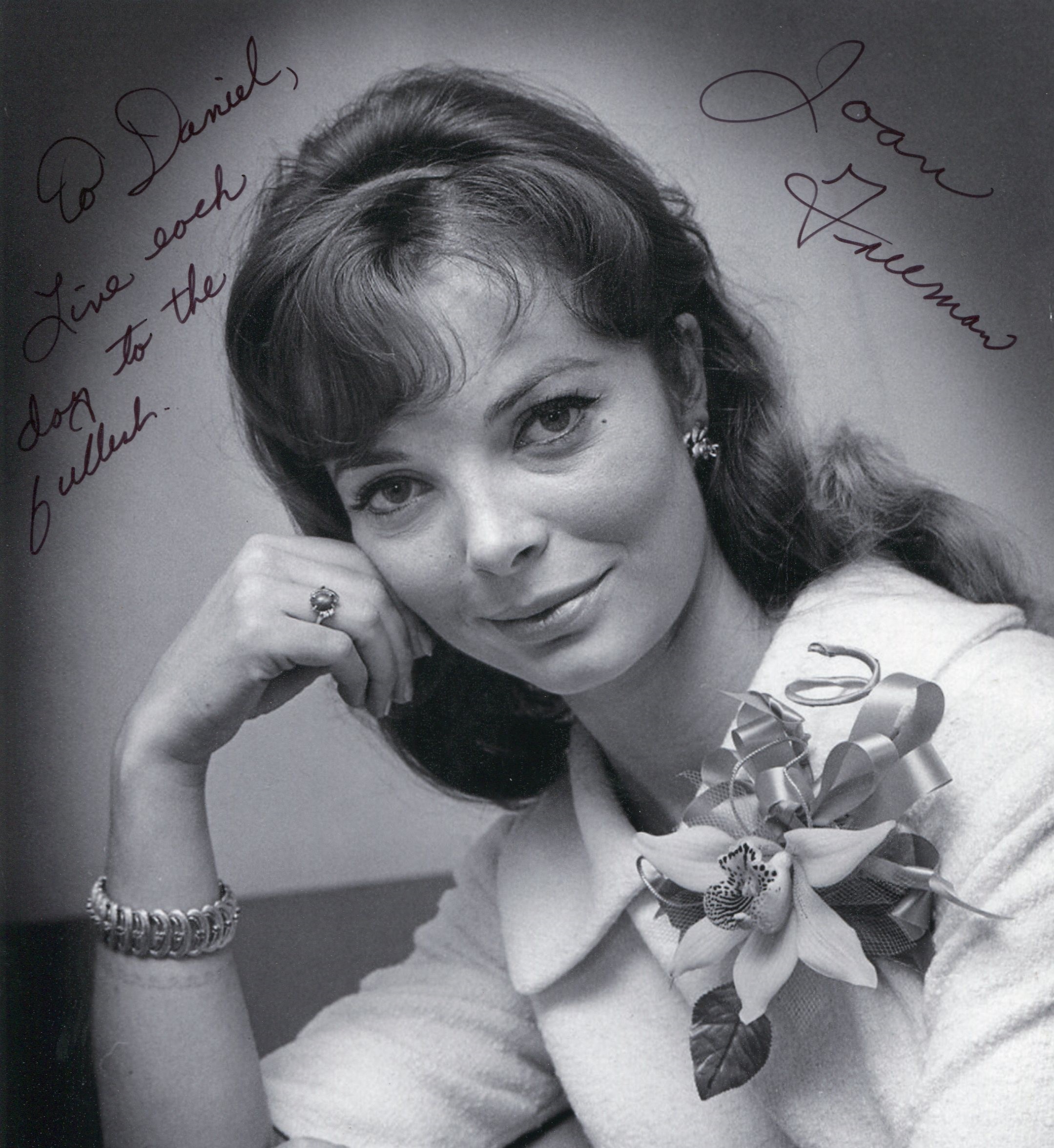 Joan Freeman Movies & Autographed Portraits Through The Decades