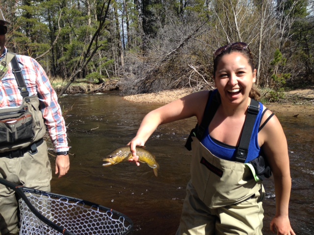 Rocky Mountain National Park Fishing Liarflies