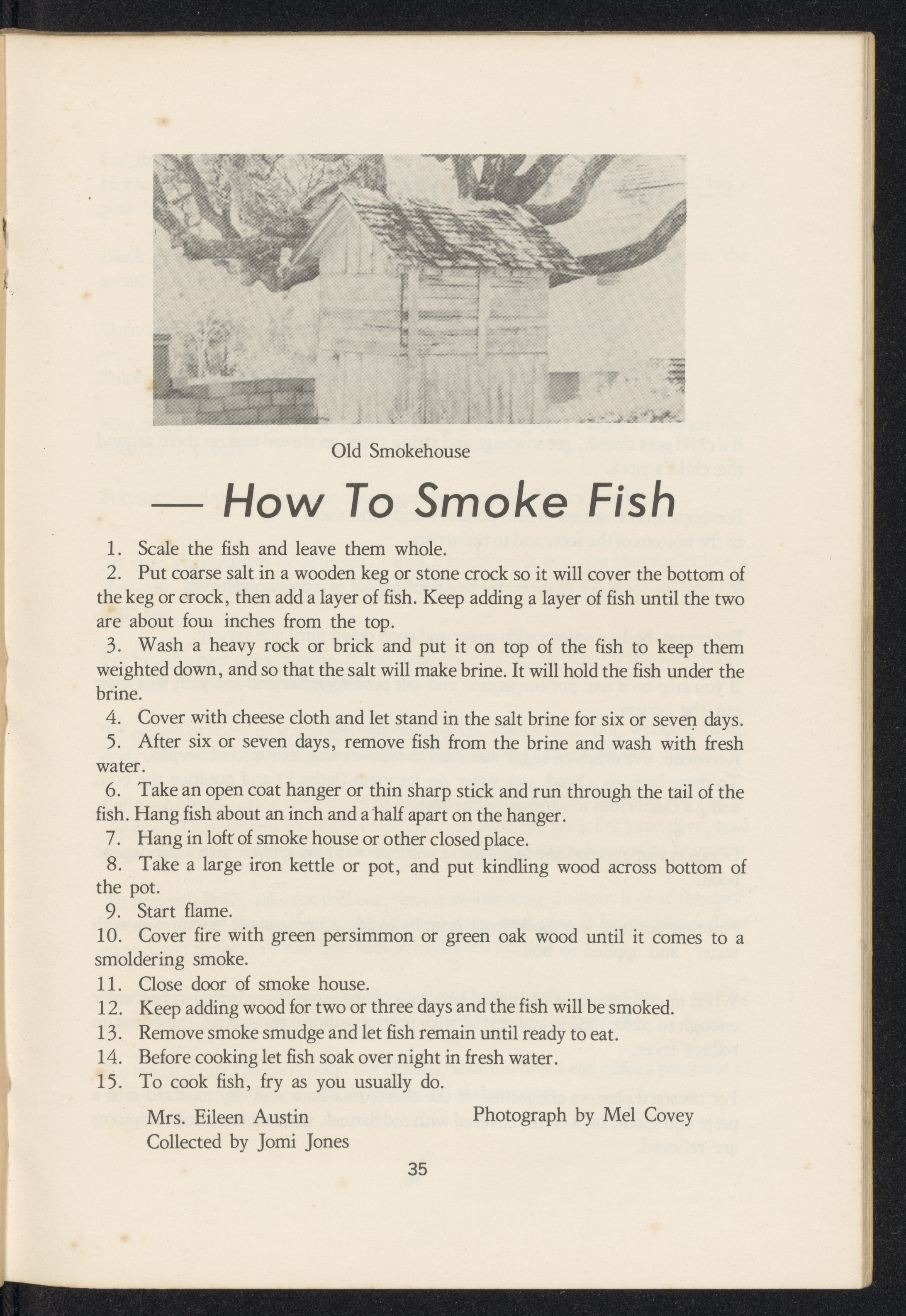 Sea Chest [Summer 1973]