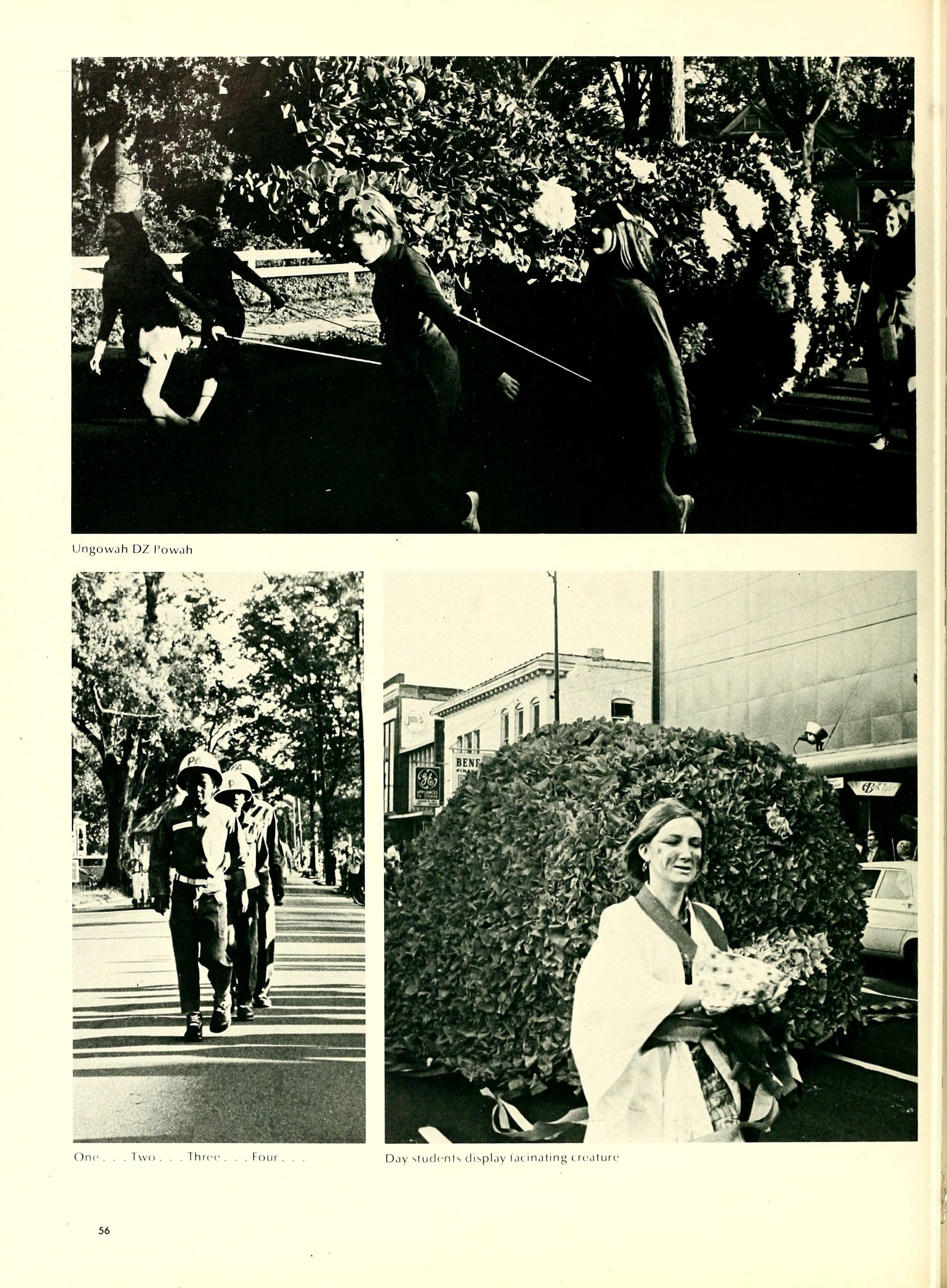 The Pine Knot [1972]