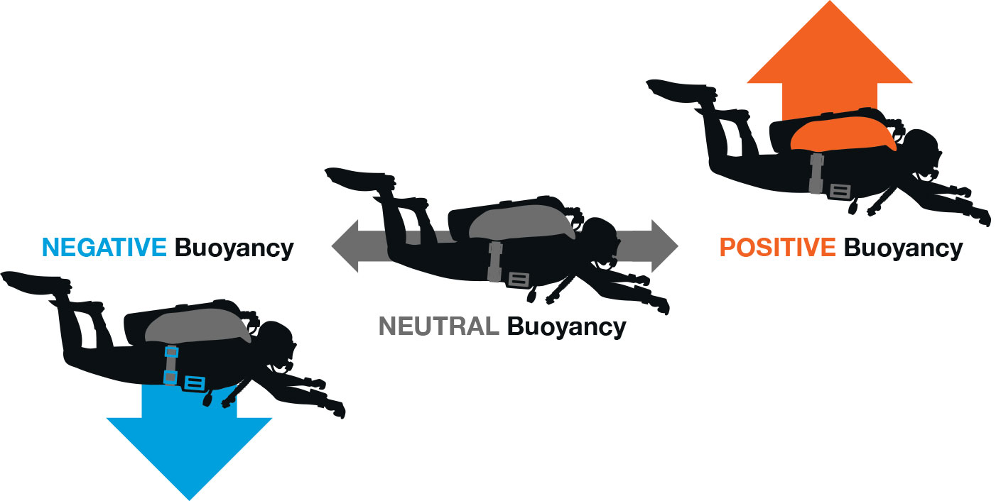 ARCHIMEDES Year 12 Science Marine and Maritime Studies LibGuides