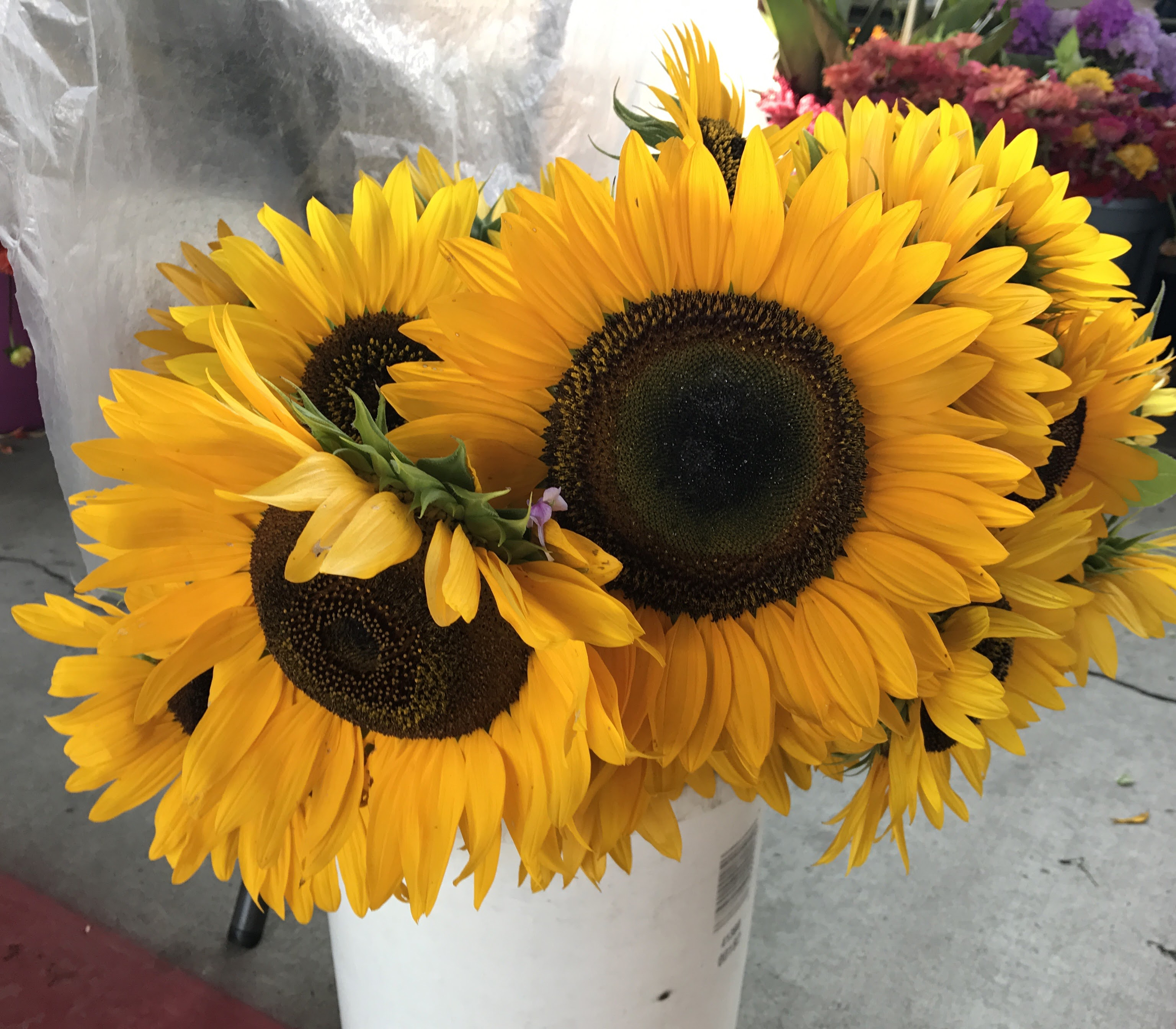 Explore the City Market on Saturdays with a coffee in hand.