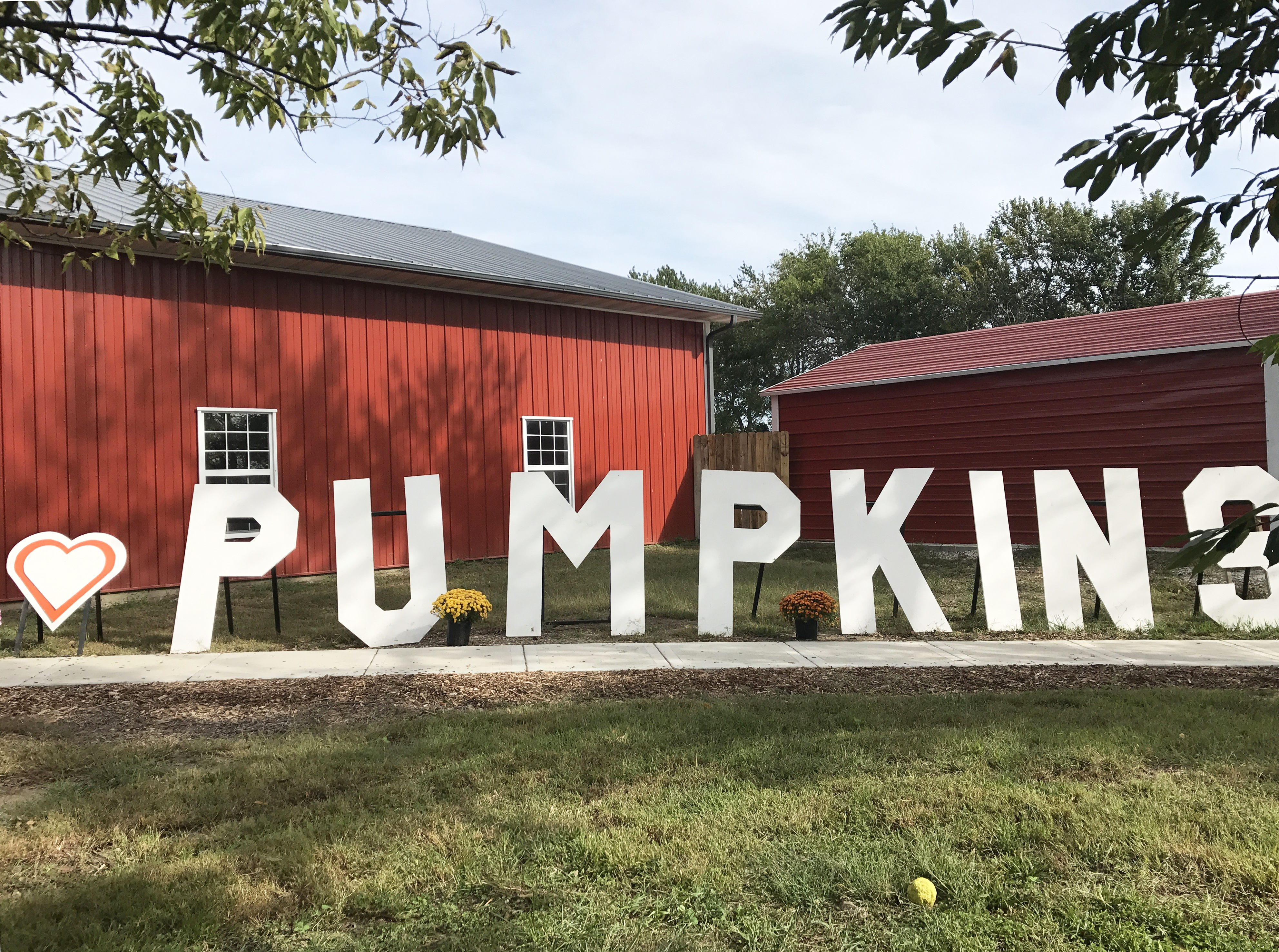The KC Pumpkin Patch is the perfect fall activity for families.