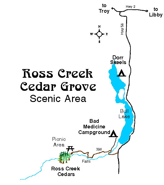 Ross Creek Giant Cedars Natural Area, Libby, Montana