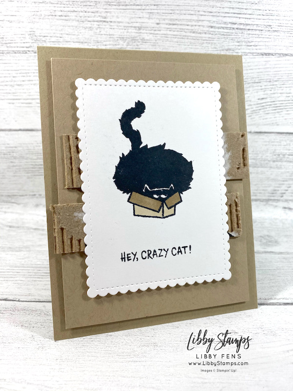 Hey, Crazy Cat! Libby Fens, Stampin' Up! Demonstrator