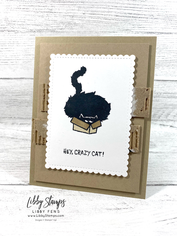Hey, Crazy Cat! Libby Fens, Stampin' Up! Demonstrator