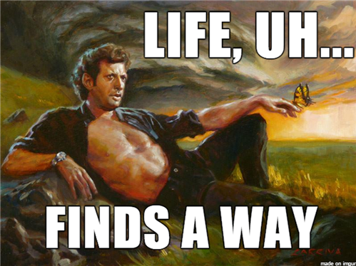 Jeff Goldblum S Reaction To Spider Man Leaving The Mcu Is A Meme