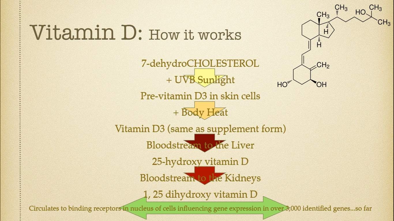 DEAFicient Part 1 Vitamin D Liberation Chiropractic & Wellness