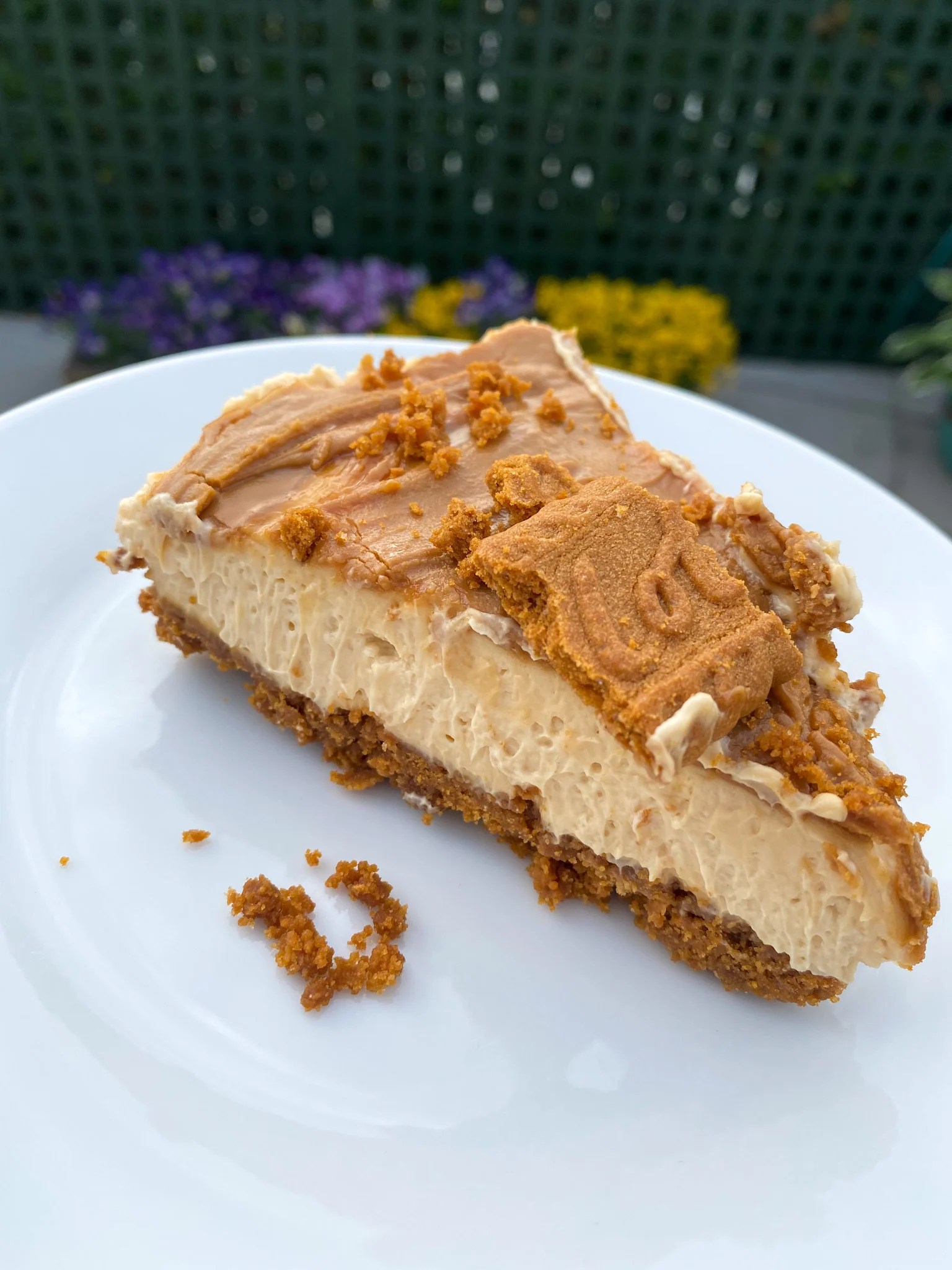 Vegan Biscoff Cheesecake Easy Vegan Recipe LiberEat