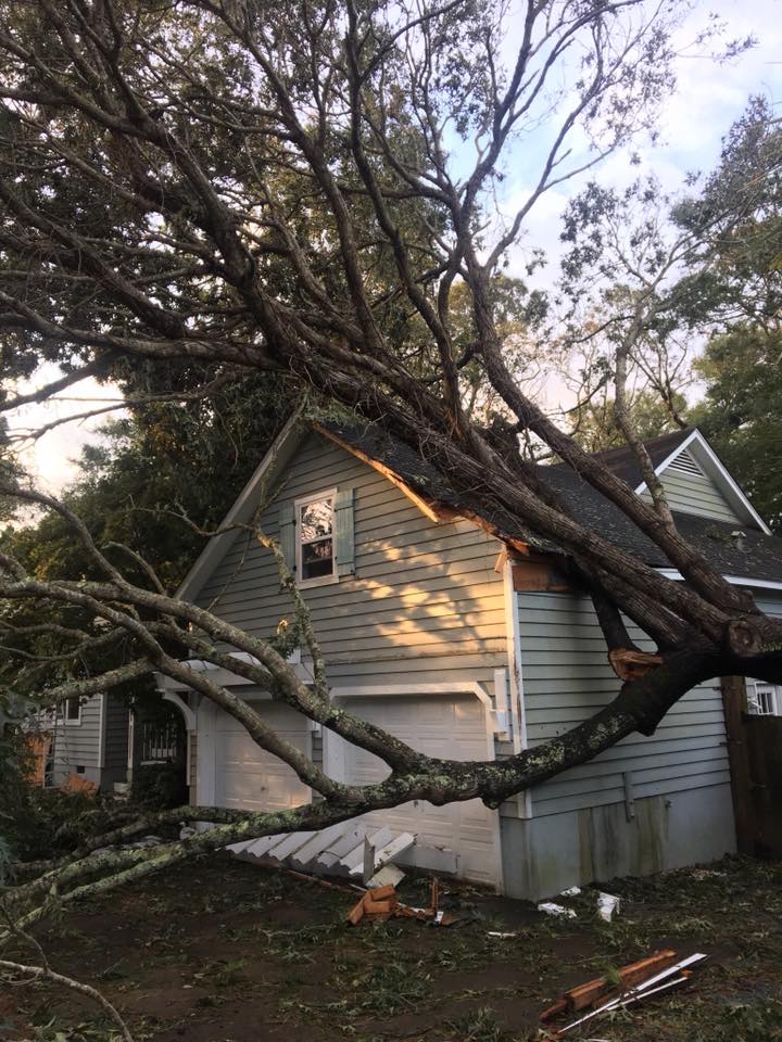 Tree Service Liberty Tree Care Tree Service Tree Trimming Tree Removal