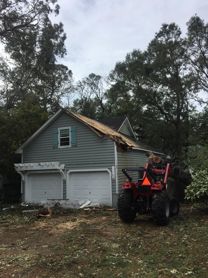 Tree Service Liberty Tree Care Tree Service Tree Trimming Tree Removal
