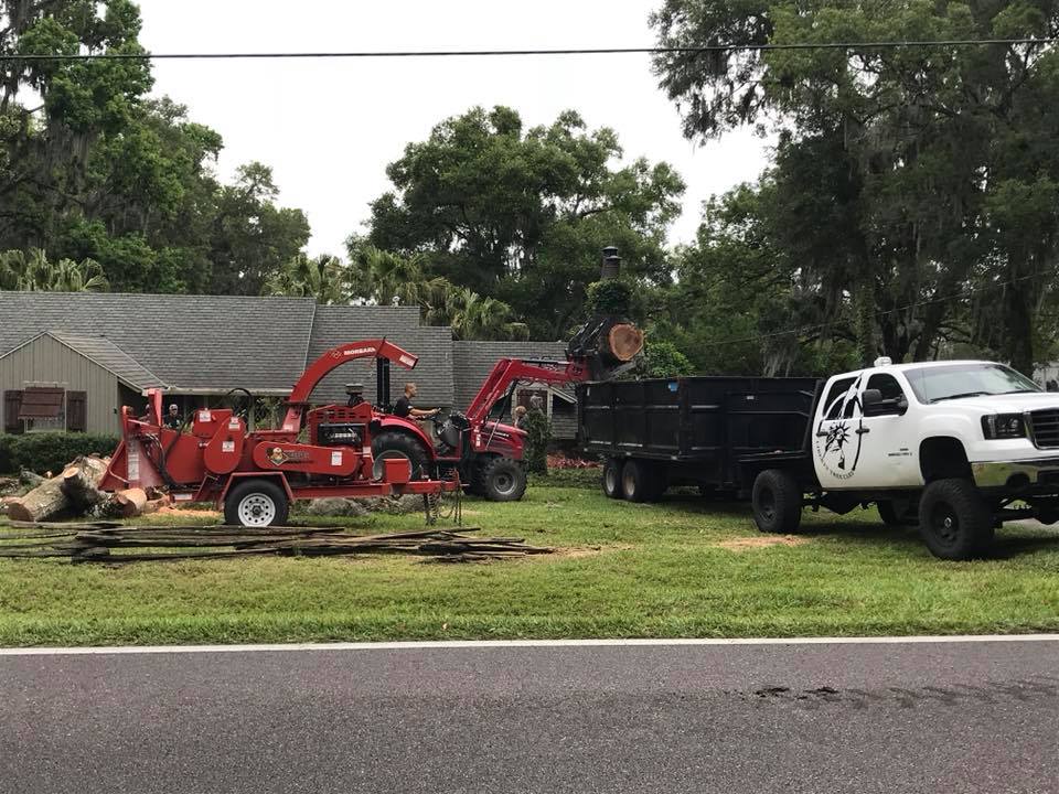 Tree Service Liberty Tree Care Tree Service Tree Trimming Tree Removal