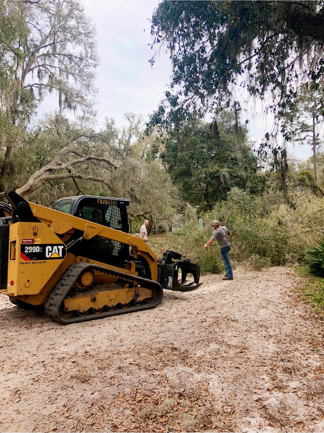Tree Service Liberty Tree Care Tree Service Tree Trimming Tree Removal