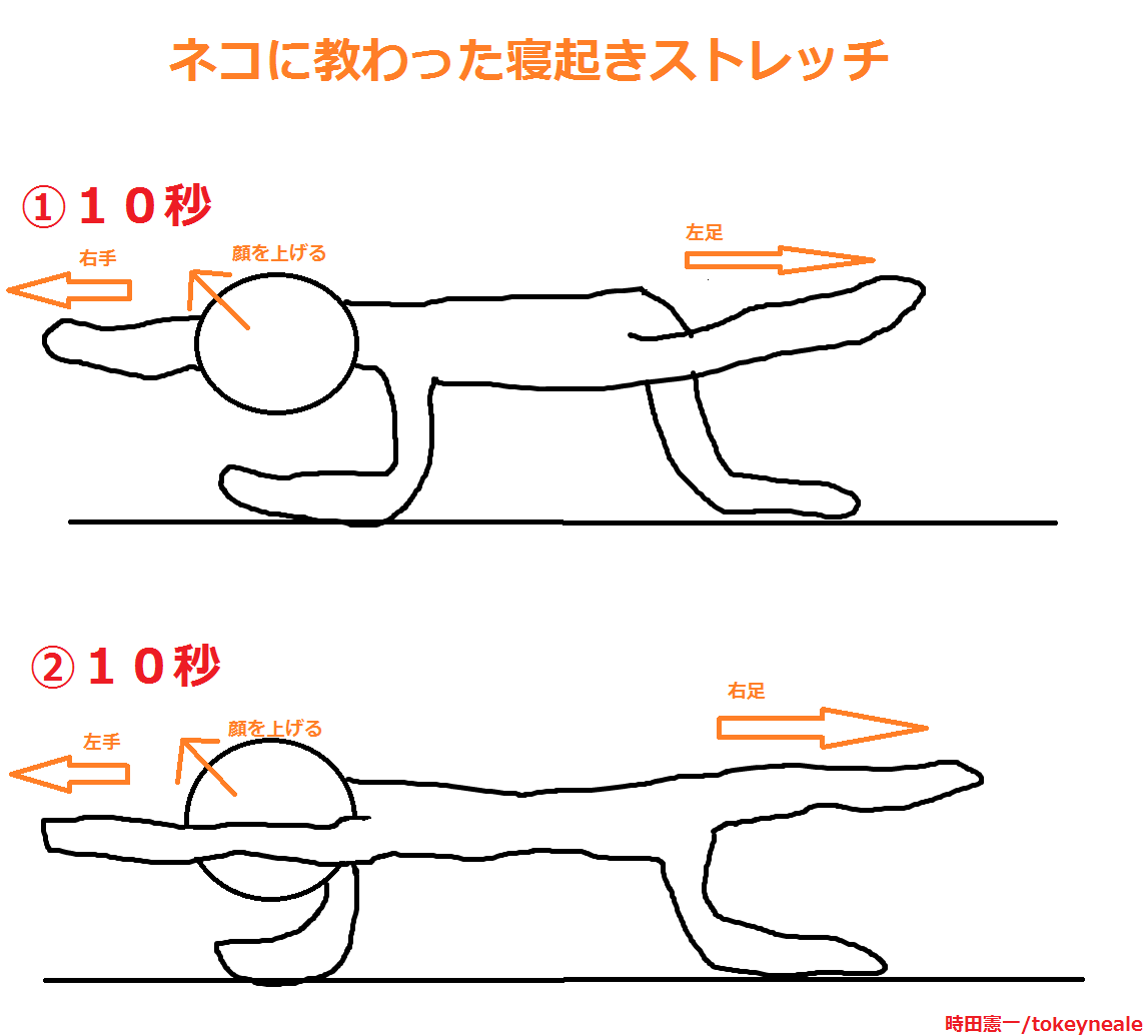 身長 を 伸ばす 方法 ストレッチ Article