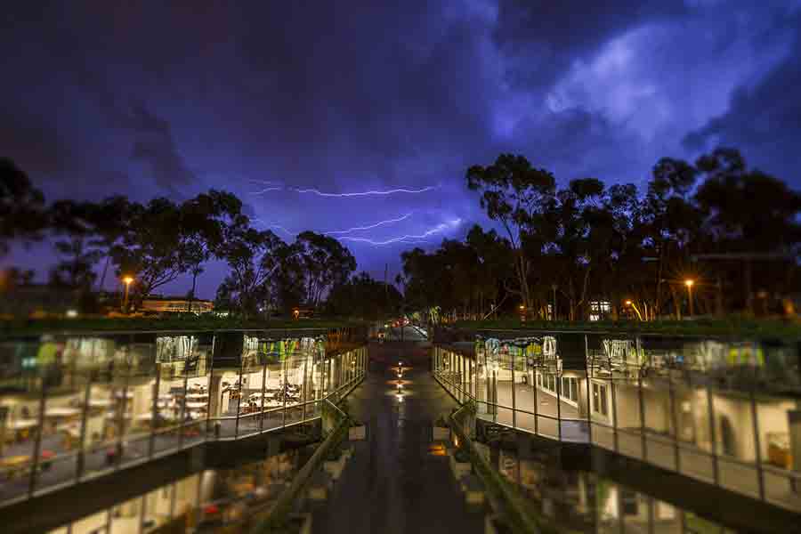 UC San Diego Library Home Page