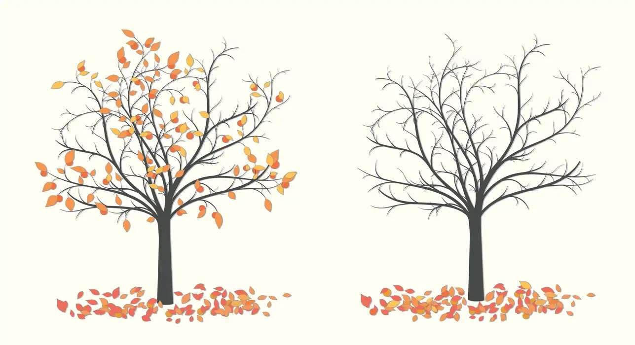 The Last Leaf Class 9th Summary with Questions and Answers