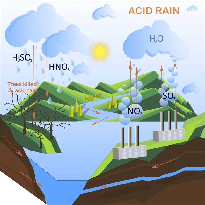 Acid Rain It's Causes, Effects and How to Prevent It