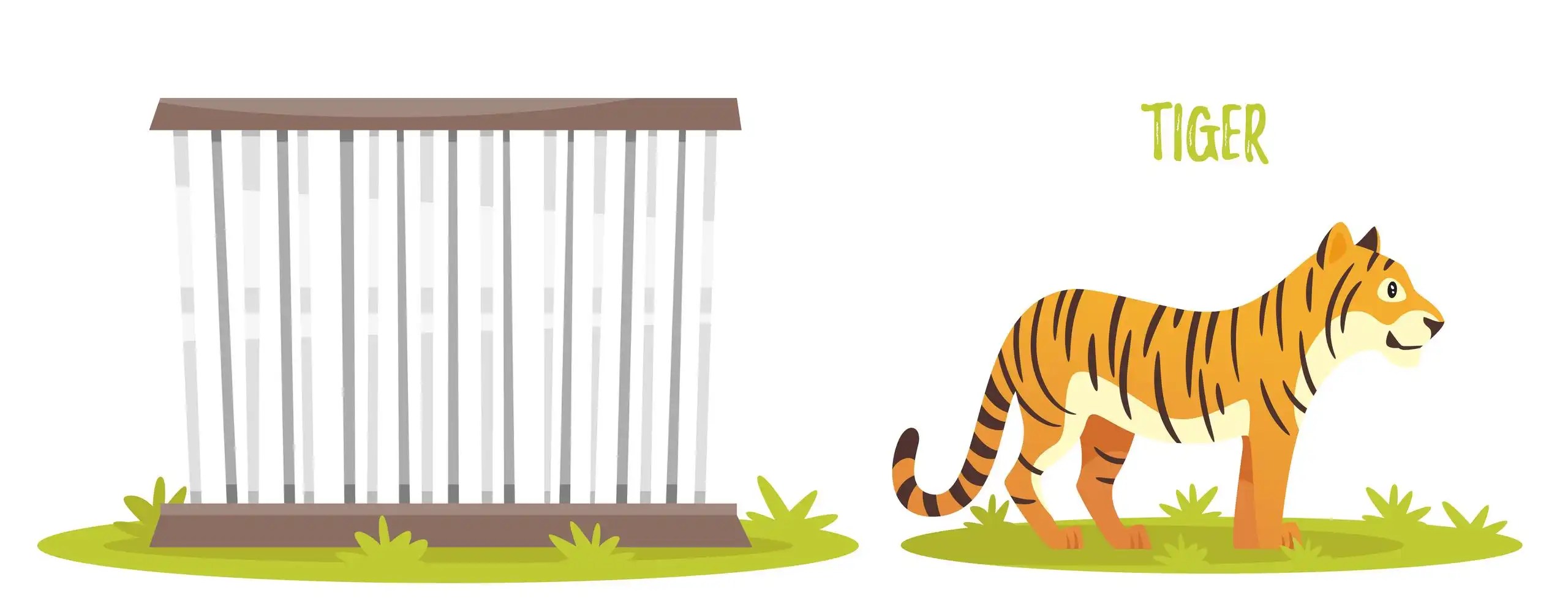 A Tiger in the Zoo Poem Summary, Question Answers Class 10 English