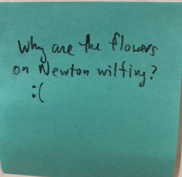 Why are all the flowers on Newton wilting? ( The Answer Wall