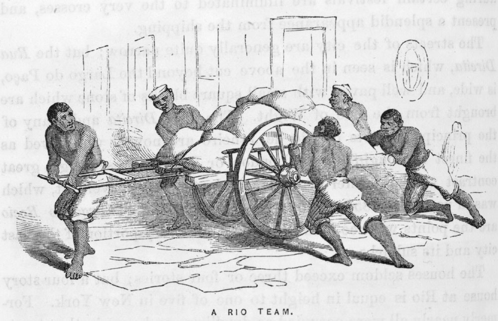 4.2 Slavery and Abolition in the 19th Century Brazil Five Centuries
