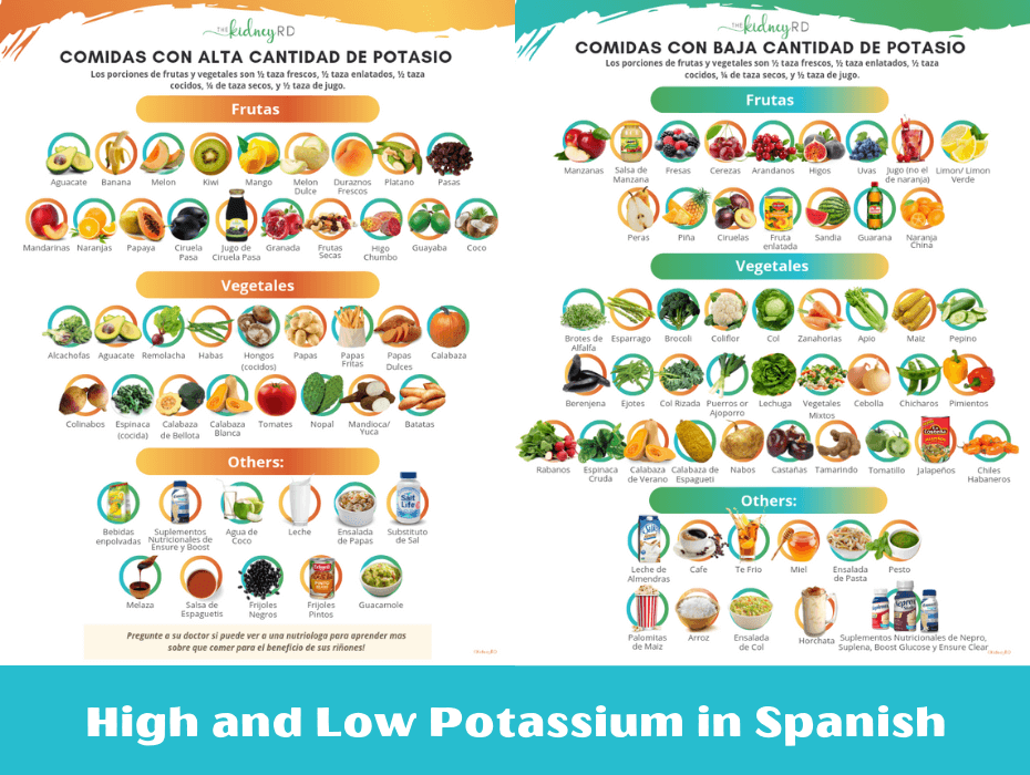 SPANISH High and Low Potassium KidneyRD Library