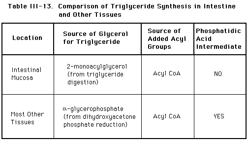 Biochemistry Review Tables