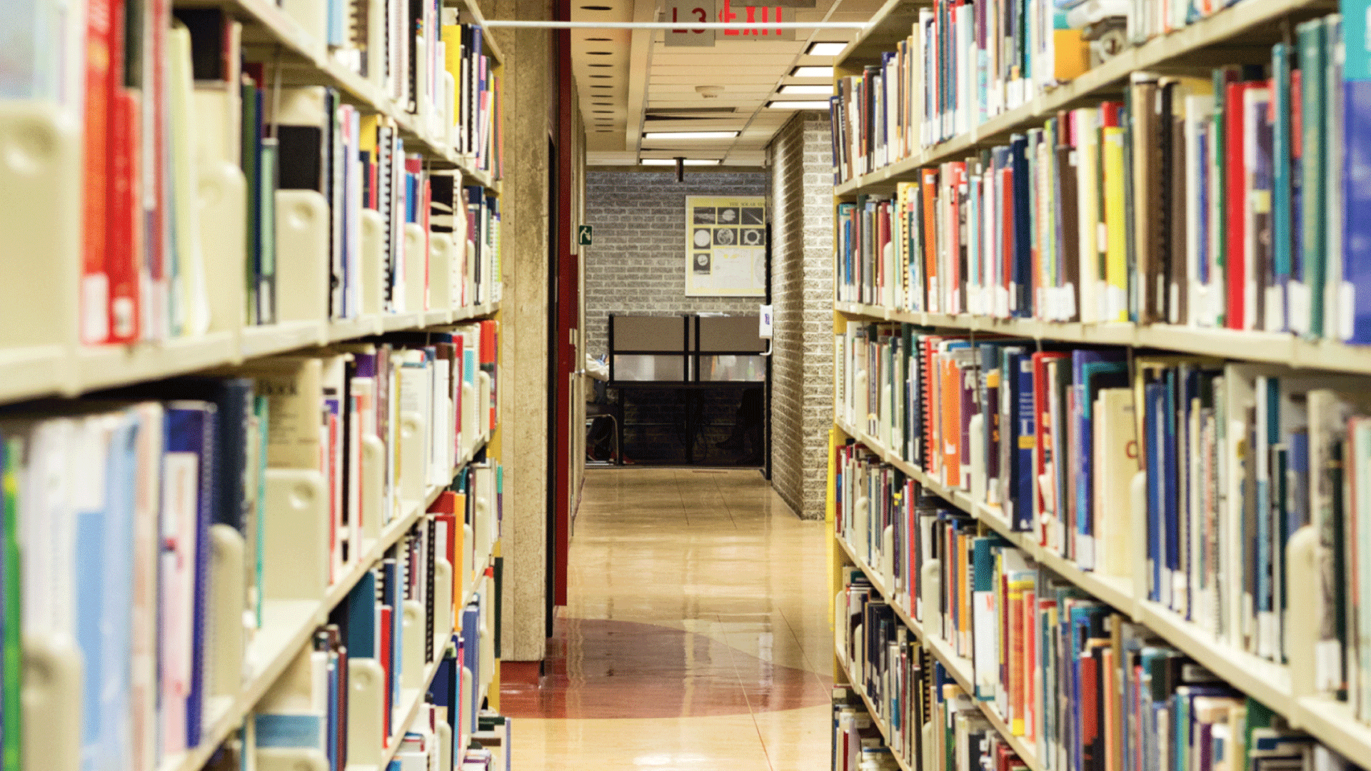 TMU Library Zoom Backgrounds Toronto Metropolitan University Libraries