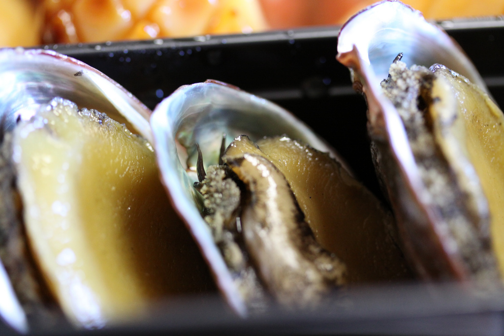 New South Wales Fisheries and Police Continue Focus on Illegal Abalone Traffickers