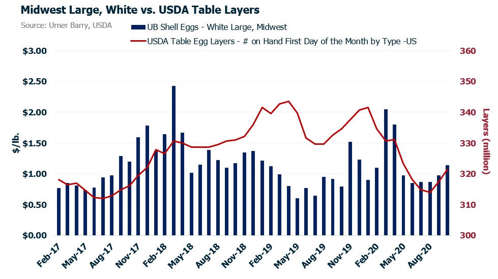 ANALYSIS U.S. Shell Egg Production Climbs as Suppliers Prepare for