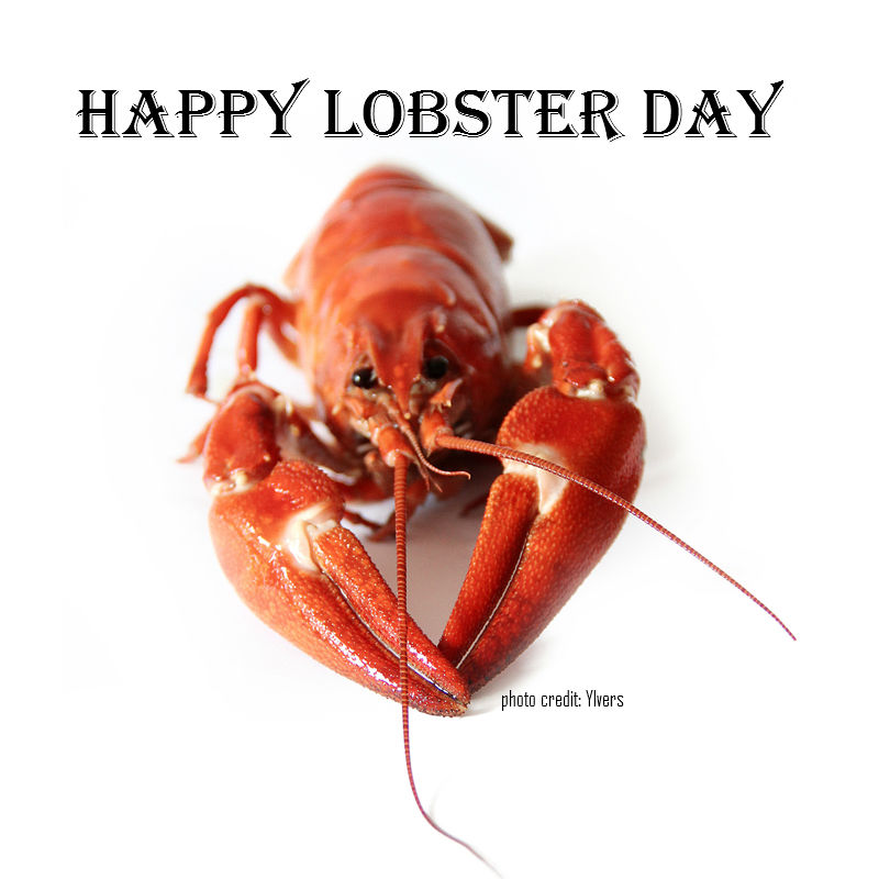 National Lobster Day 2023 Celebrate National Lobster Day With The Top Lobster Stories