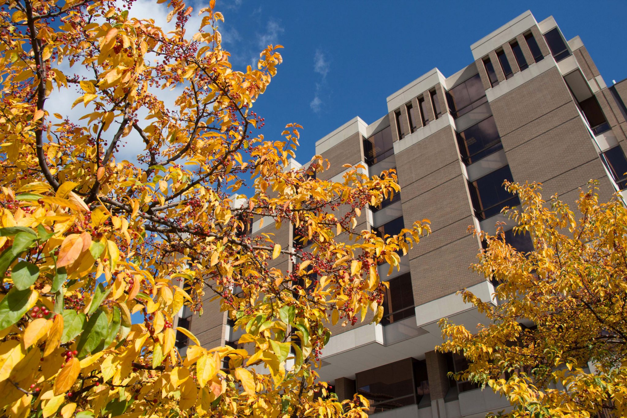 Locations WashU Libraries