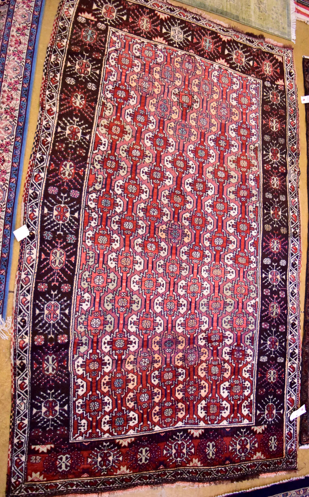 Genuine Hand Woven Oriental rug used Library House Gallery