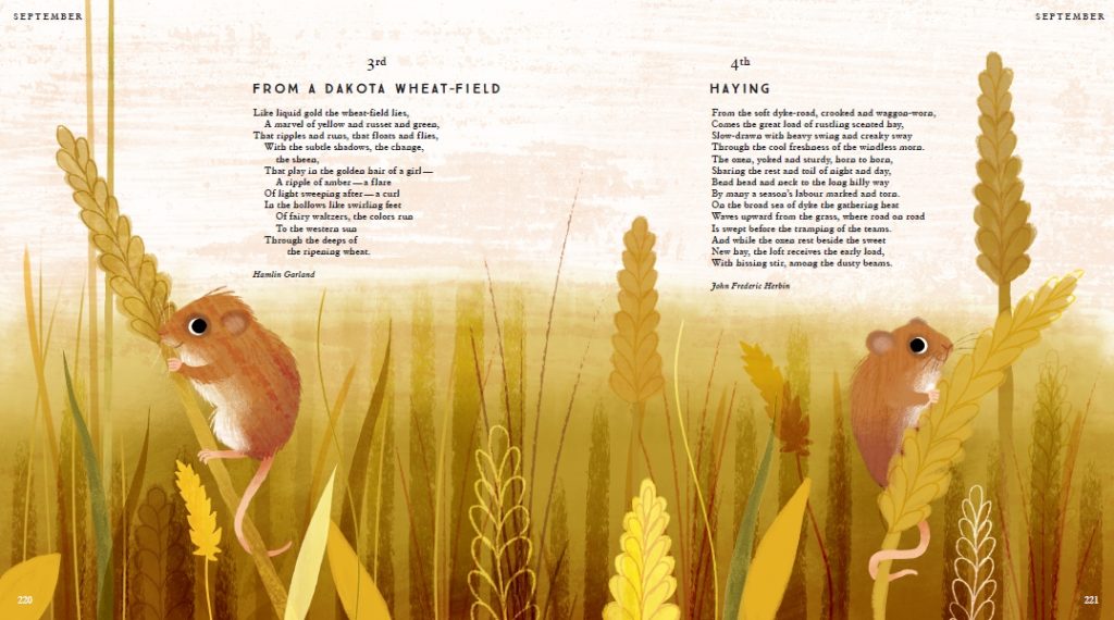 BLOG TOUR I Am the Seed that Grew the Tree Library Mice BLOG TOUR I Am the Seed that Grew the Tree Library Mice