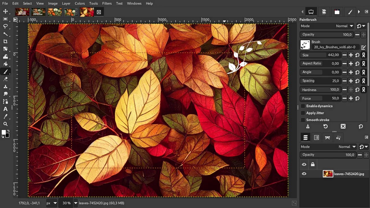 Libre Arts New in GIMP paint tools can autoexpand layers now