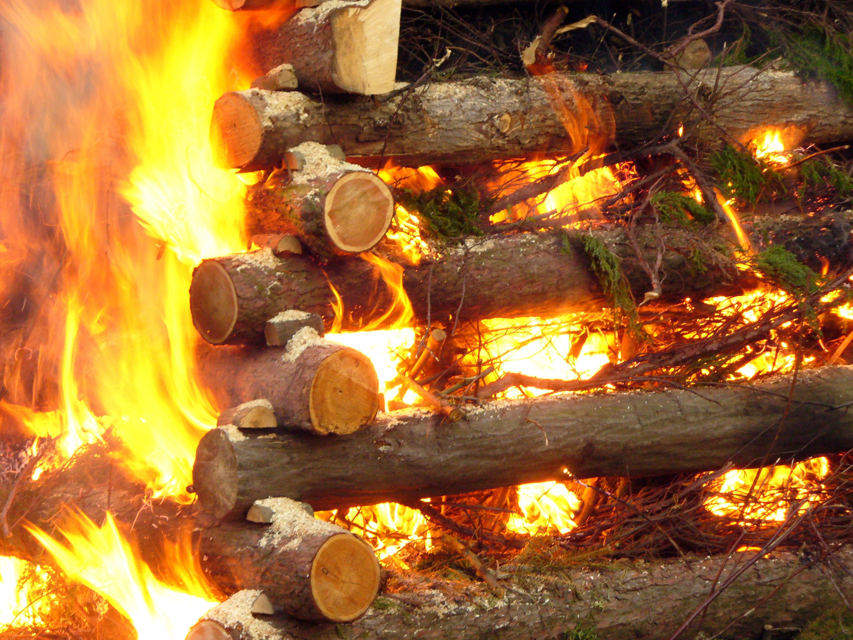 Burning wood Copyrightfree photo (by M. Vorel) LibreShot