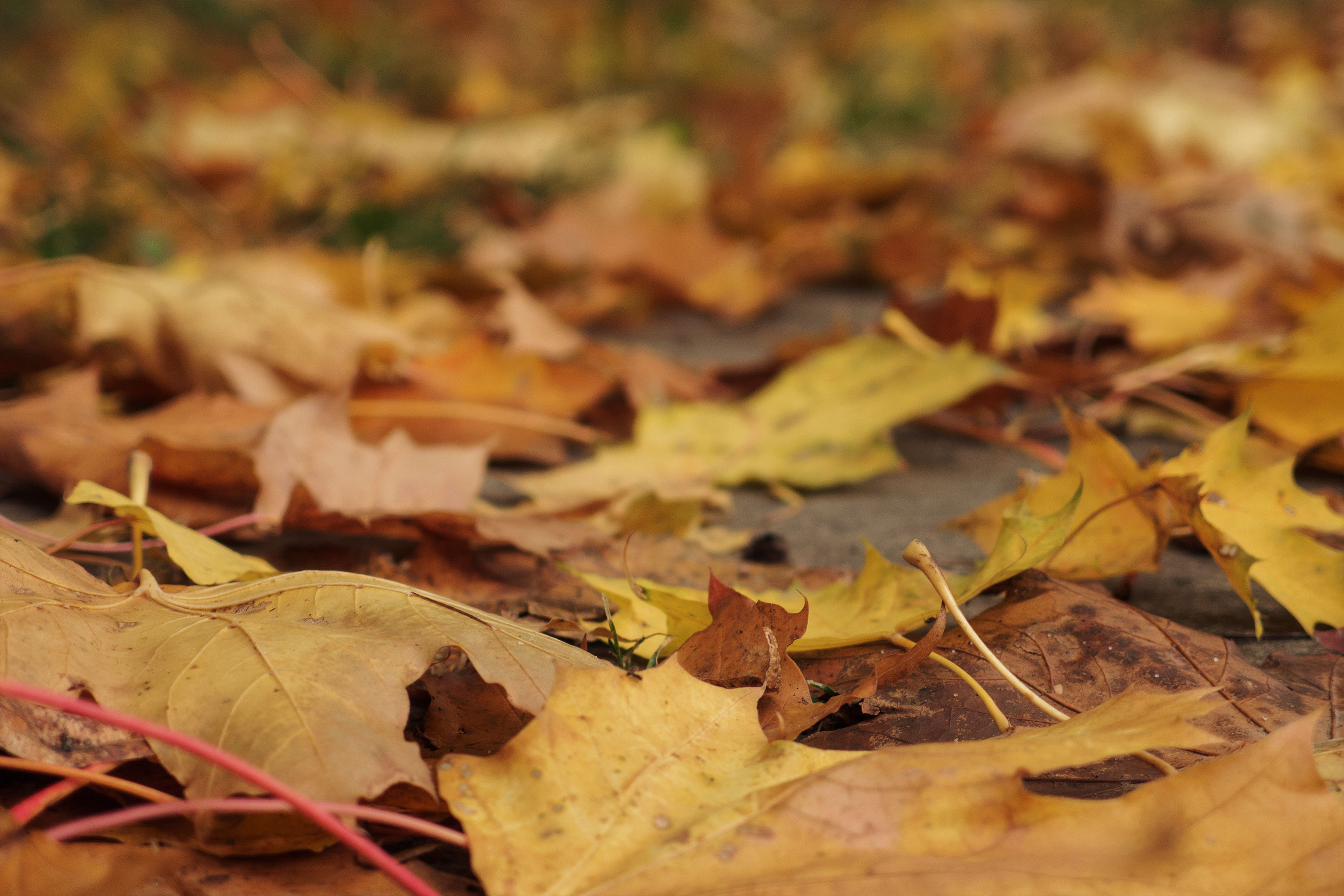 Anderson Ergonomics Consulting Inc. Don't "Fall" Into Bad Habits