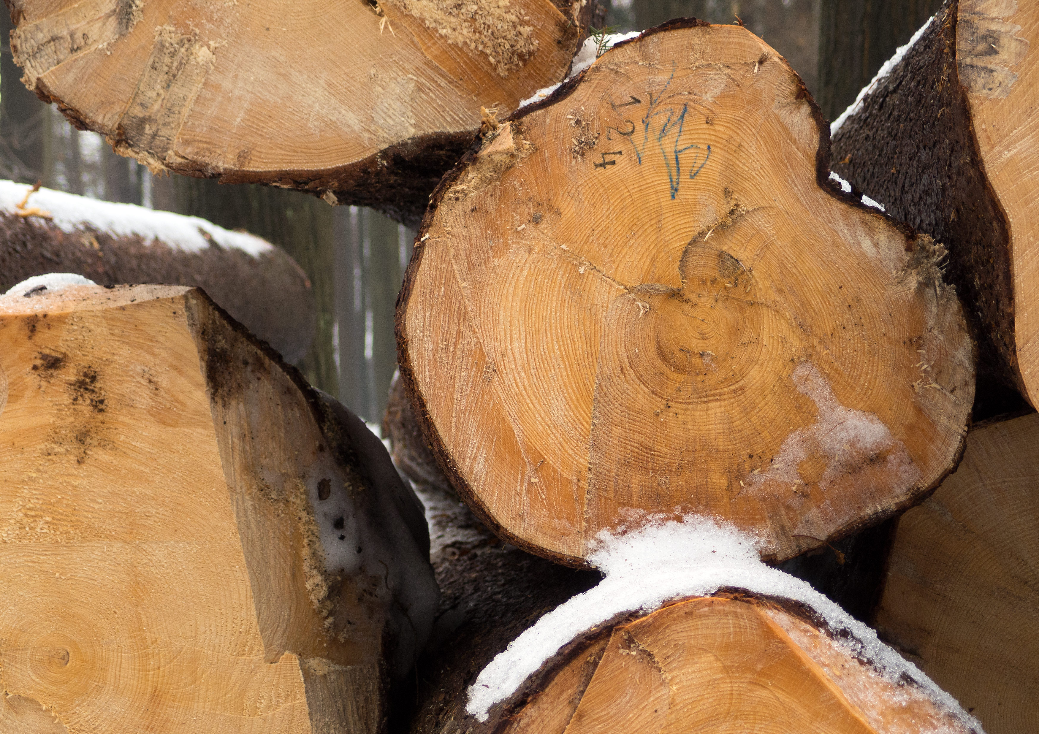 Free Image Stack Of Wood Libreshot Free Stock Photos