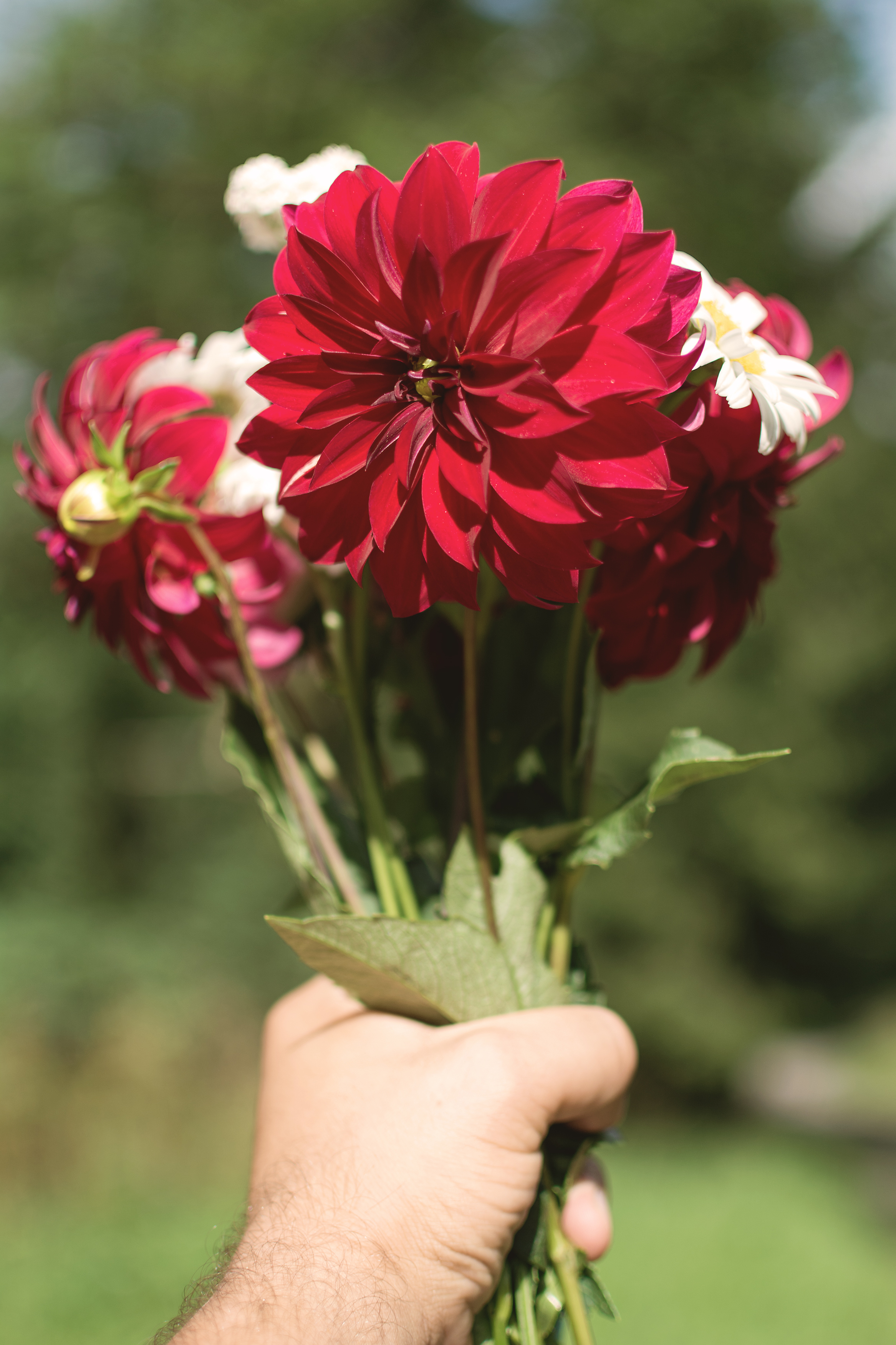 Flower Bouquet | Copyright-Free Photo (By M. Vorel) | Libreshot