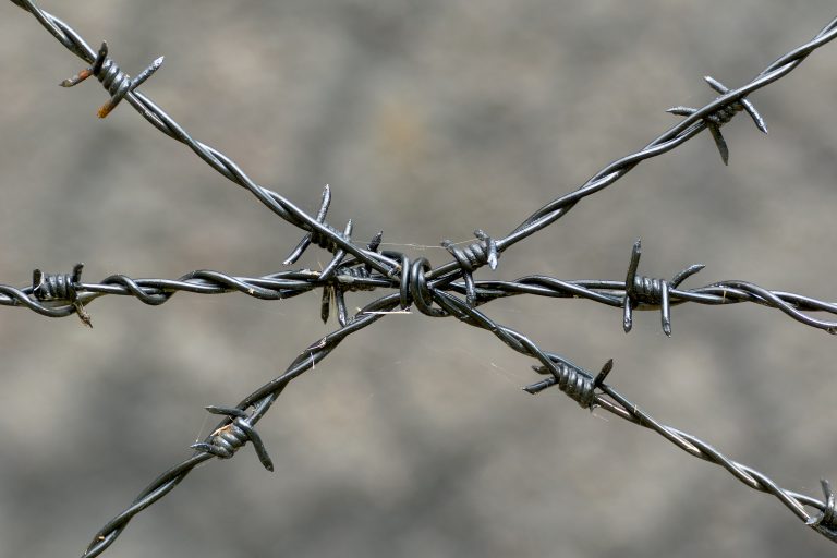 Barbed Wire Copyrightfree photo (by M. Vorel) LibreShot