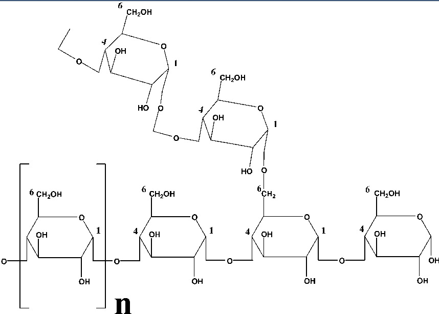 PRUEBA DEL LUGOL within biology