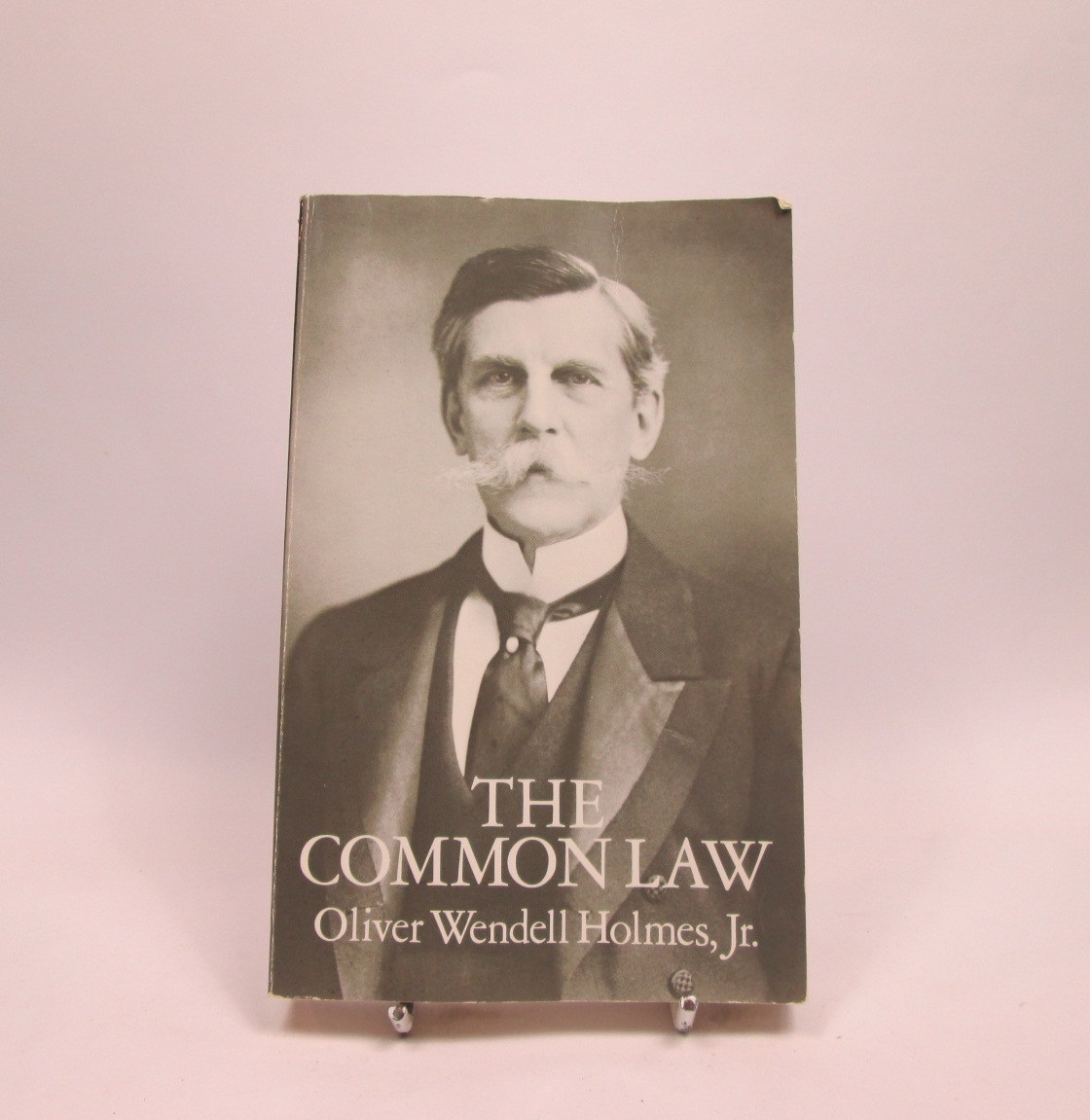 📚 Comprar « The common law » — Libros Eco